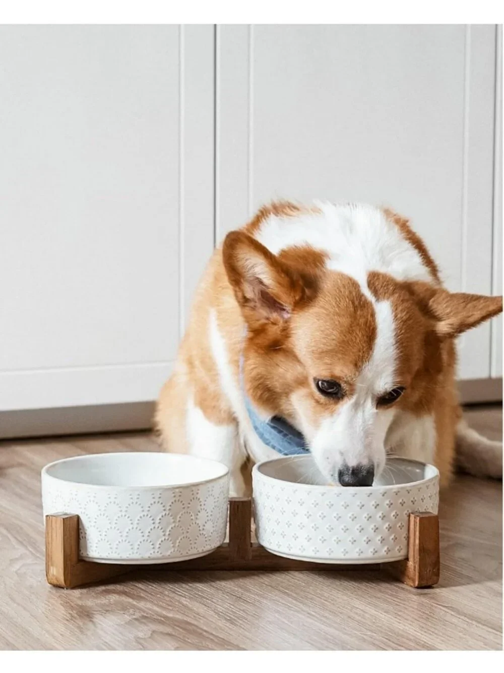 Stylish Dog Bowl Set with Acacia Wood Stand - 1.8-Cup Ceramic Bowls for Small